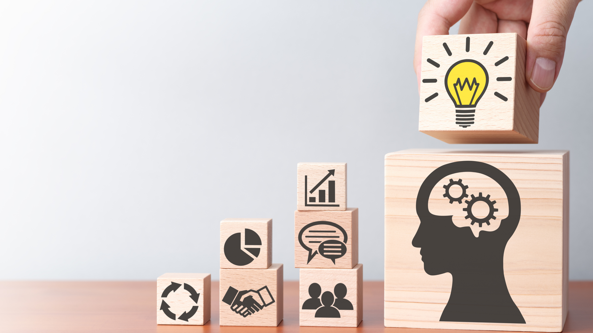 Knowledge Management Cycle - 4 Key Steps