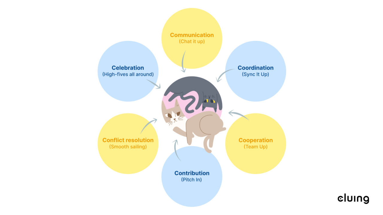 The 6Cs of collaboration include: Communication, Celebration, Coordination, Contribution, Cooperation, Conflict resolution