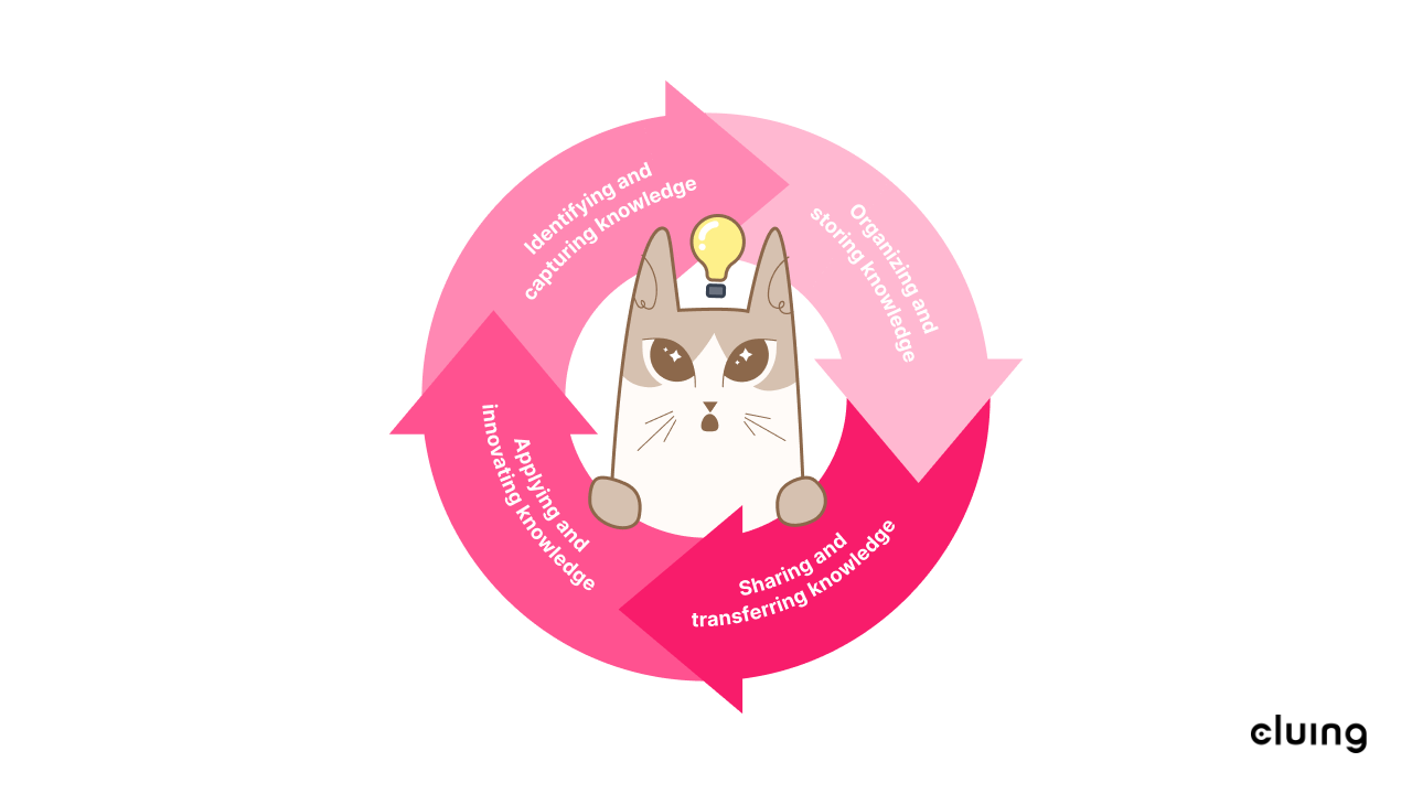 Knowledge management cycle - 4 key steps
