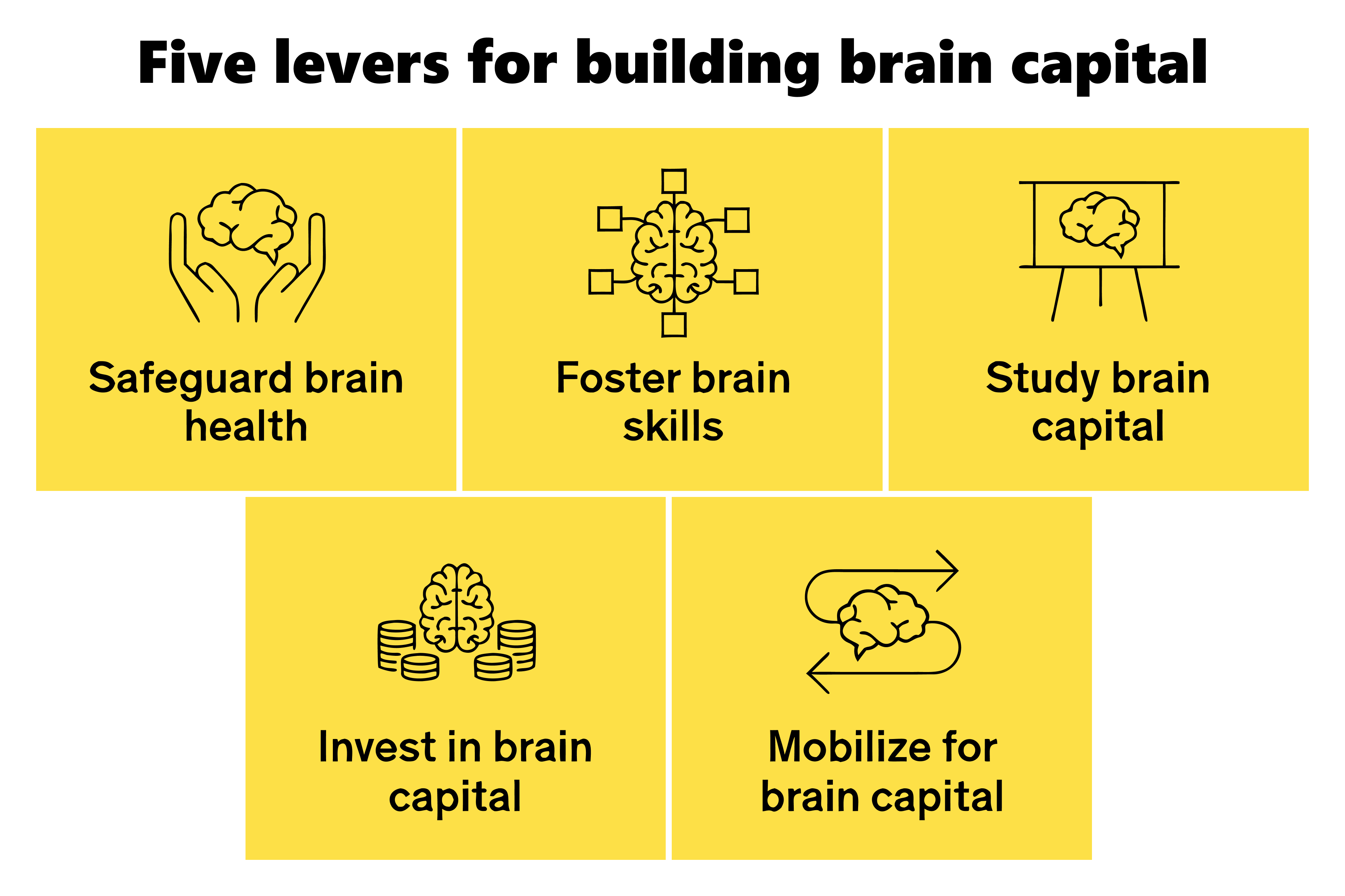 5 levers for building brain capital: Safeguard brain health, foster brain skills, study brain capital, invest in brain capital, mobilize for brain capital