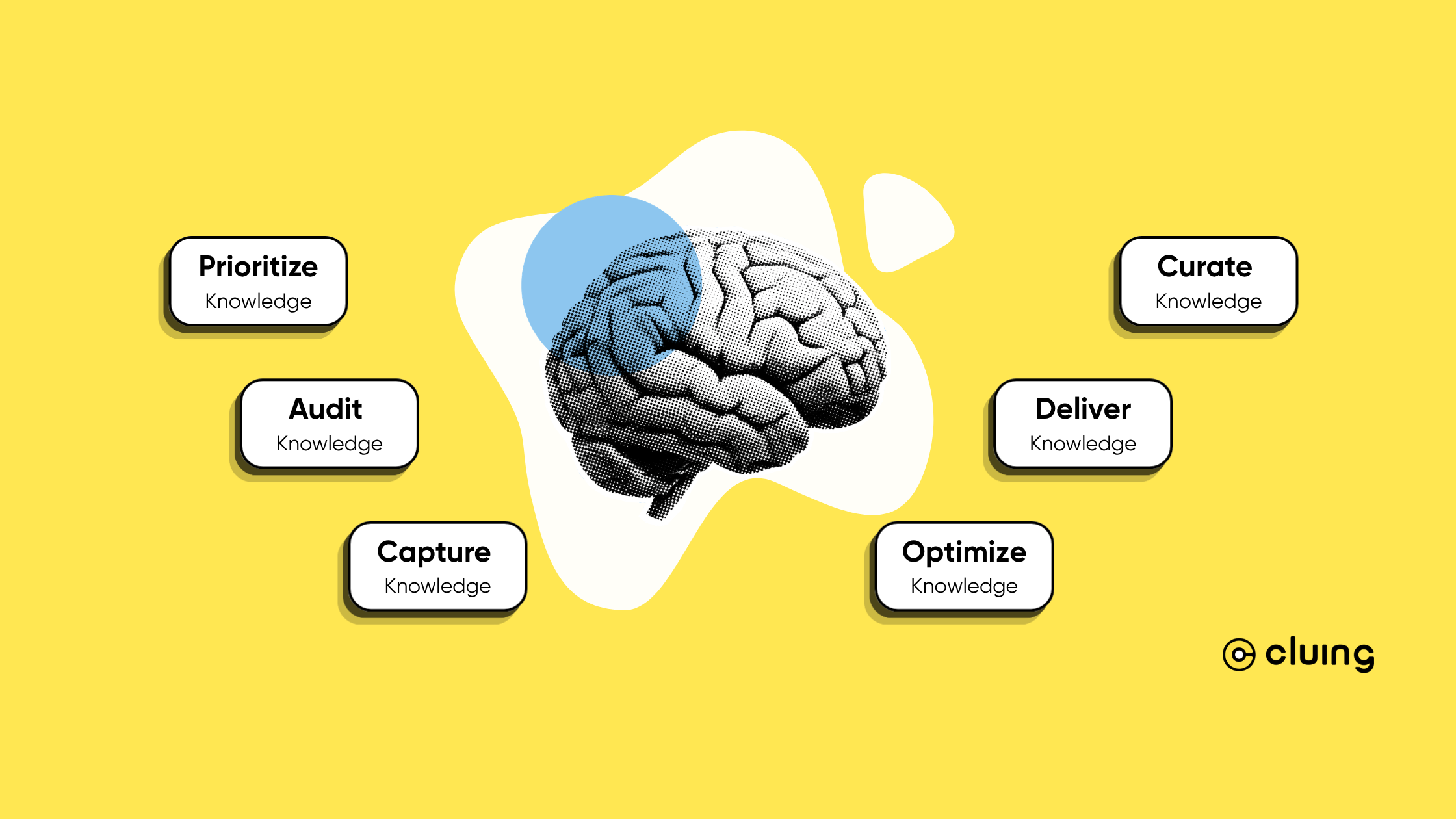 The Knowledge Management Process - 6 Key Stages Explained (2026 Guide)