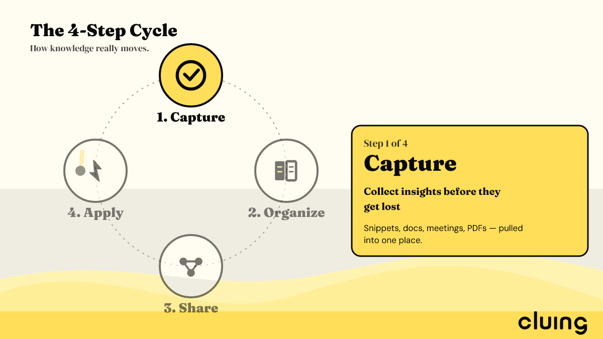Animated diagram of the four-stage knowledge management cycle: Capture, Organize, Share, Apply — each stage lights up in turn with a short description of what happens there.