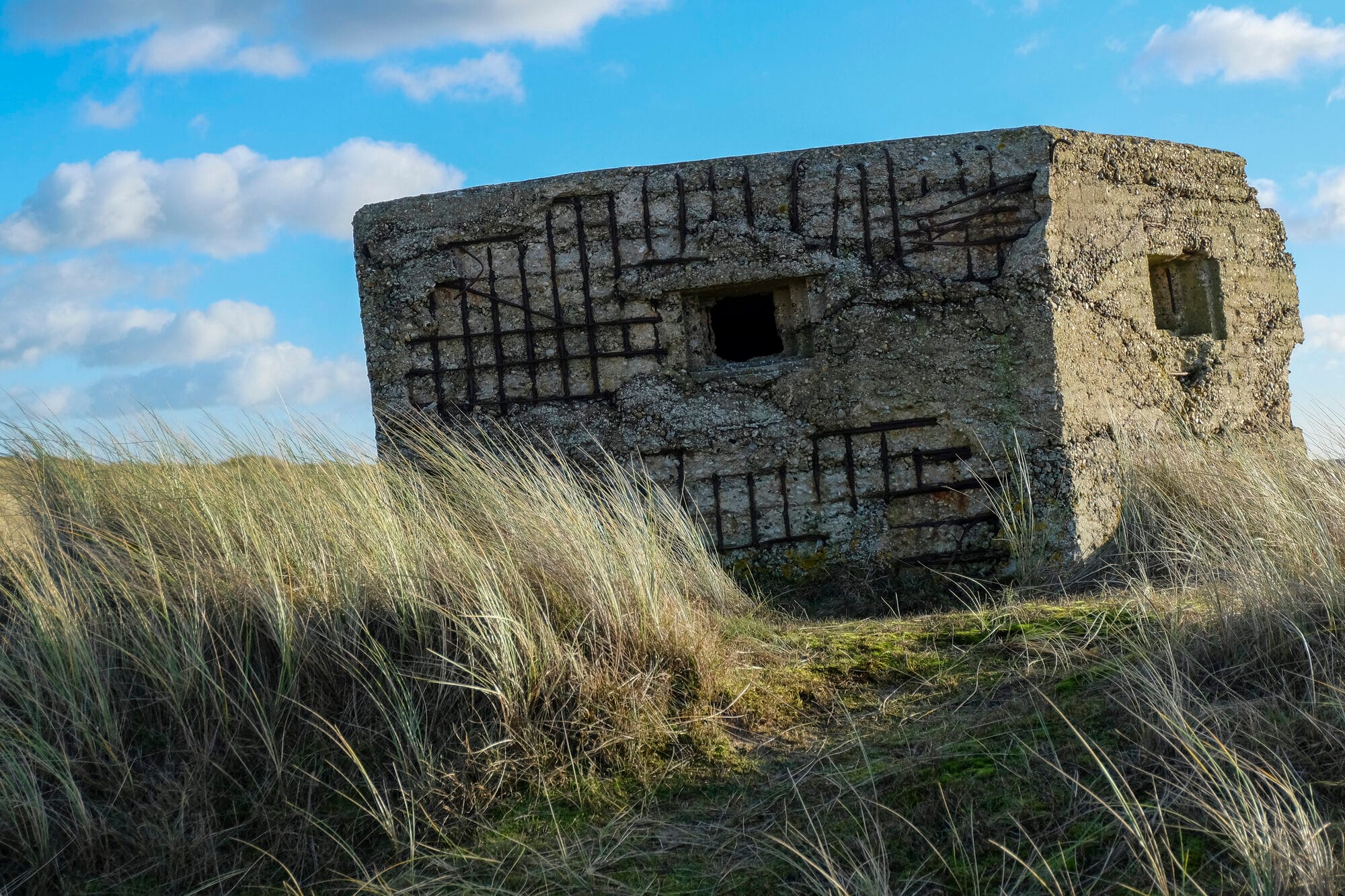 A crumbling concrete wartime pillbox half-overtaken by dune grass, rusted reinforcing bars showing through the decaying concrete