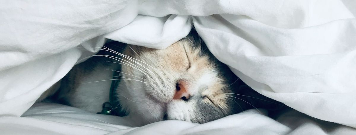 From scrolling to stillness: How I changed my bedtime routine