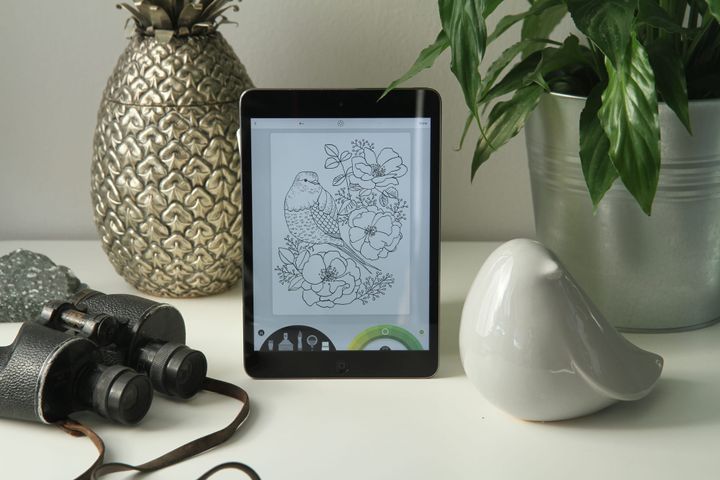 Interview with the Artist: Victoria Johnson