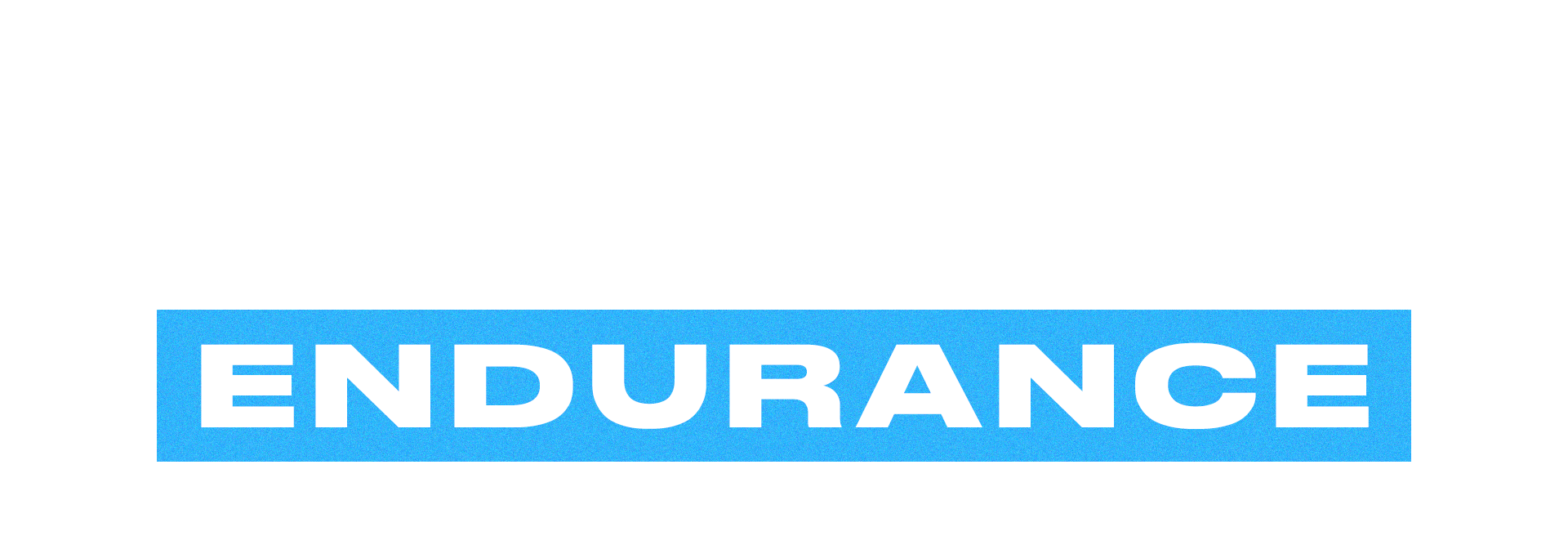 The Pit Stop Endurance icon