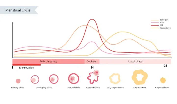 Frying My Nervous System
