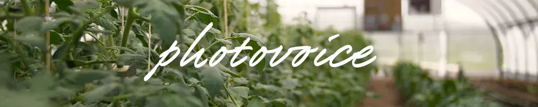 Hearty Harvests in Iowa: A Photovoice Project (HHIPP)