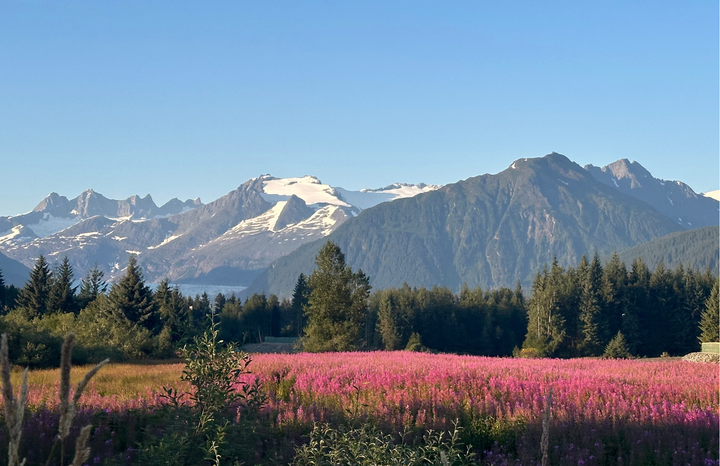 A part of my heart grew in Juneau, Alaska