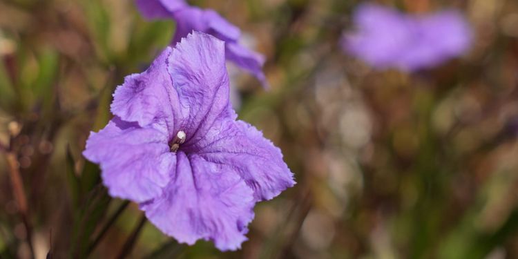 Our Guiding Intentions // Actions