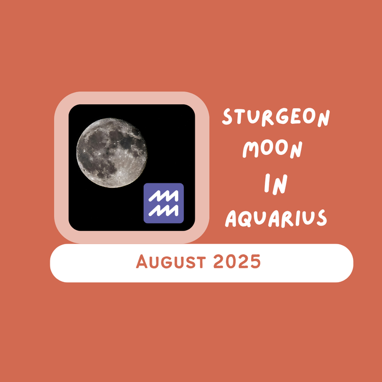 Full Moon Collective Energy for August 2025