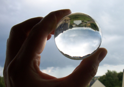 Joining the Trend for WCM Trends