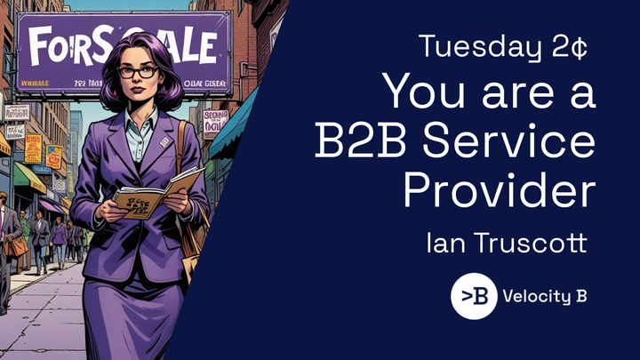 You are a B2B Service Provider