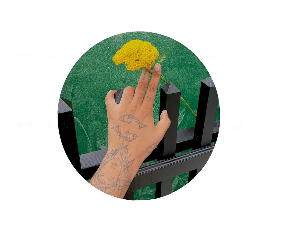 Yarrow