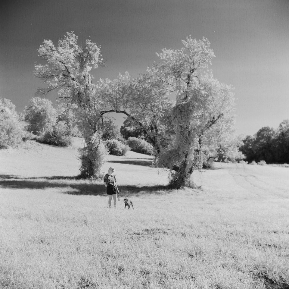 Elder