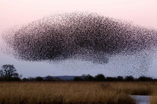 Upcoming Paper Jam: The Psychology of Software Teams, Part 2