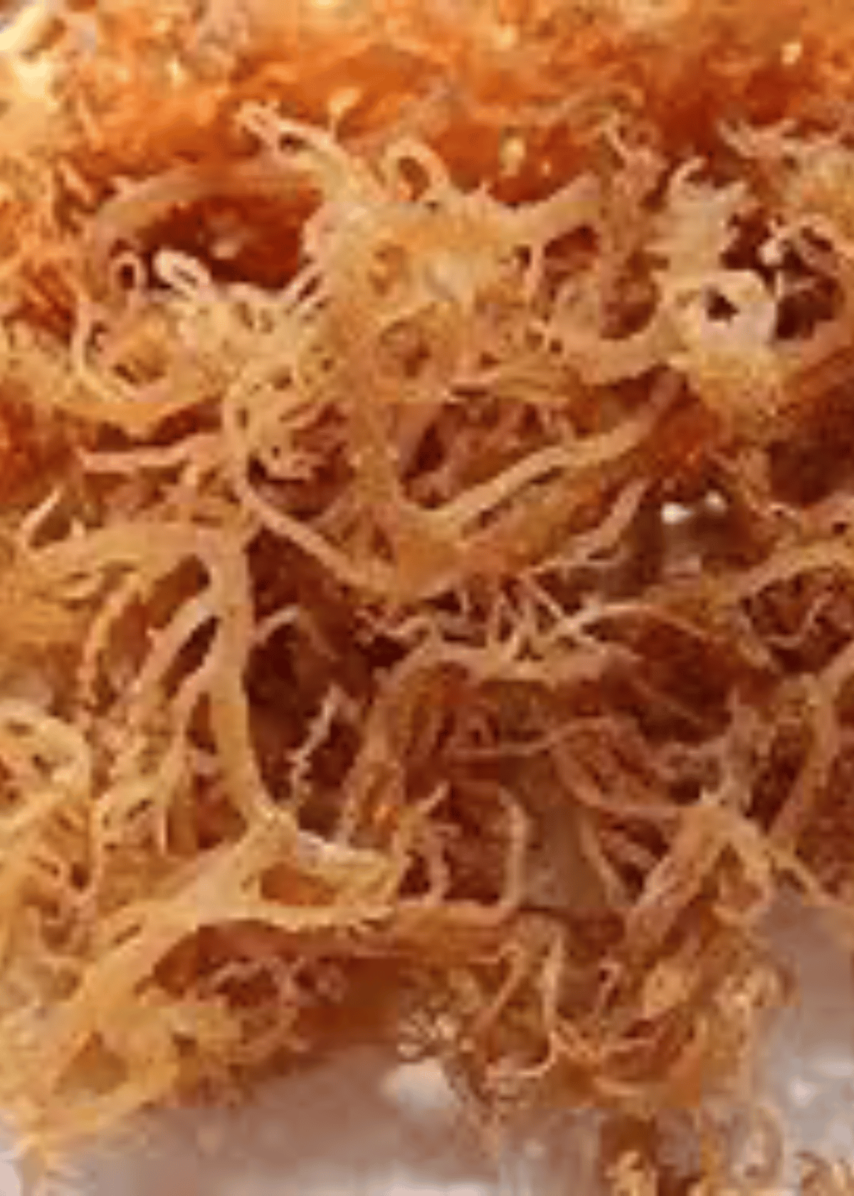 liquid sea moss
