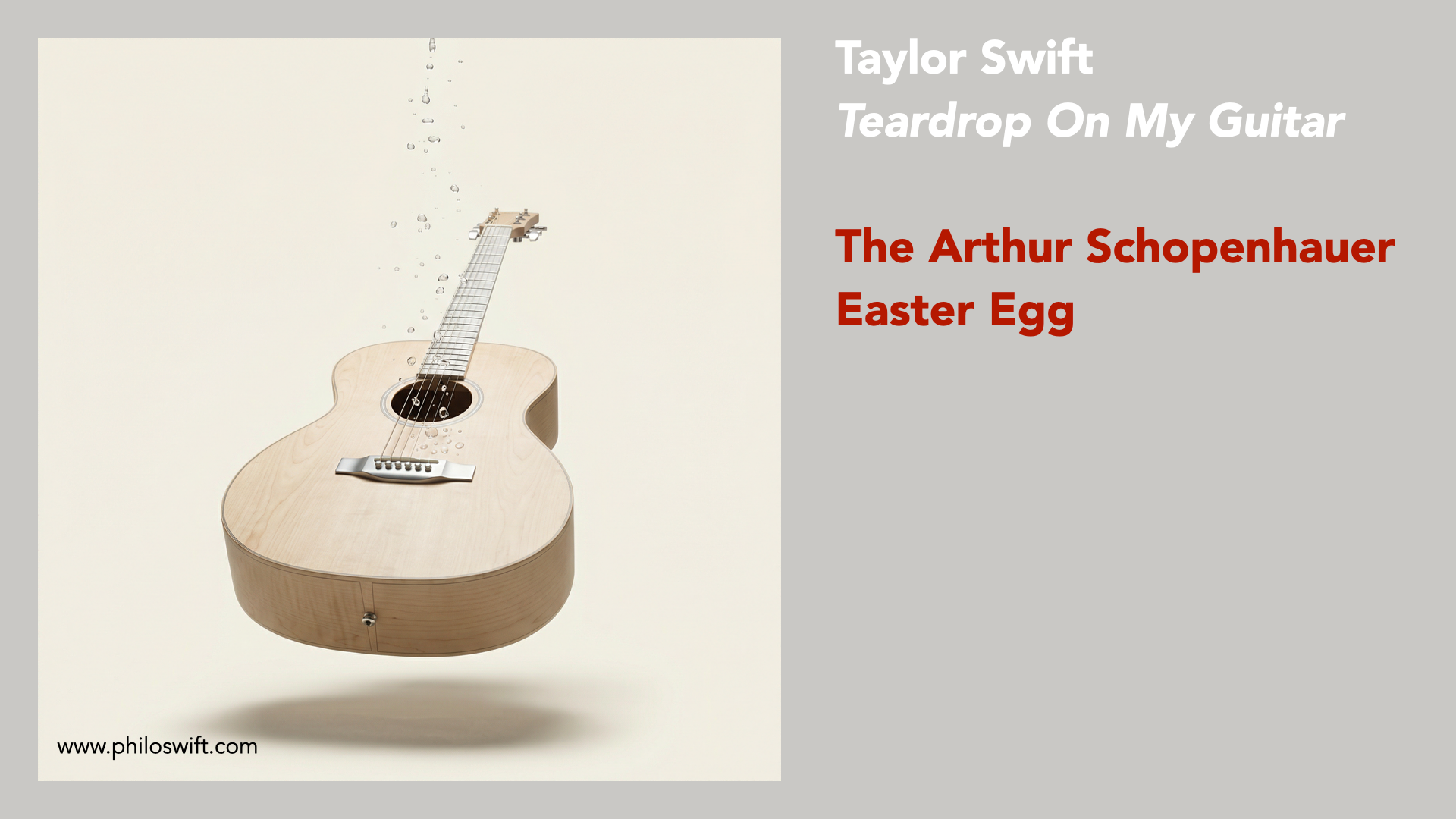 Teardrops On My Guitar - Schopenhauer meets Taylor Swift