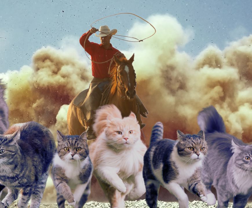 A farmer on a horse attempts to herd a group of cats