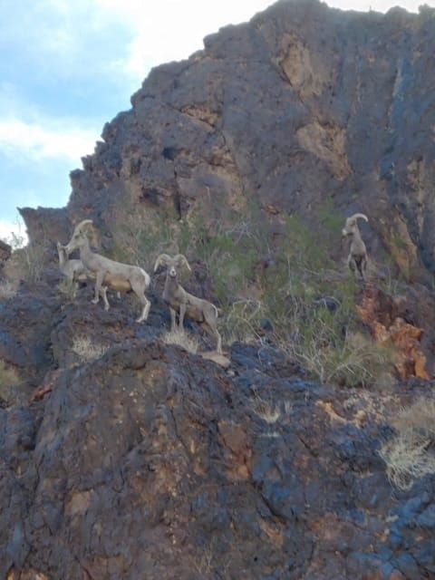 Signals From Nevada: When Ideas Become Infrastructure