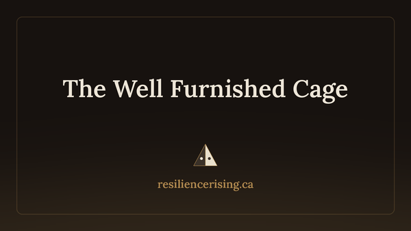 The Well Furnished Cage