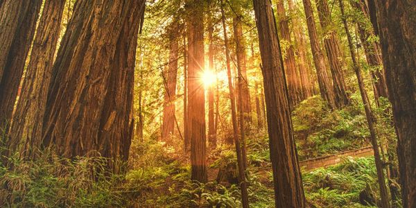 I Spent 25 Years Watching What Lasts