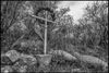 A History of Arizona Miners, Written on Gravestones: A Photo Essay about a Disappeared Borderlands Town