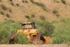 The Border Chronicle Weekly Update: August 14