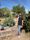 Harvesting Hope in Tucson: A Q&A with Amelia Natoli of the Ishkashitaa Refugee Network