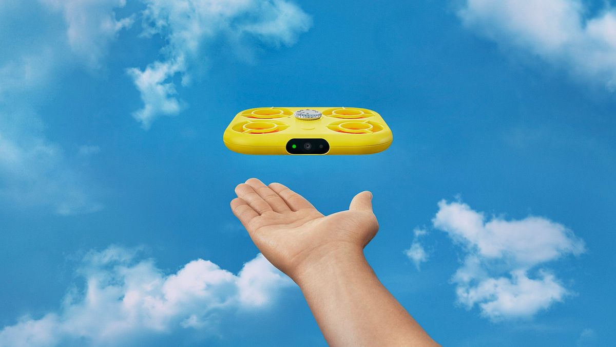 Snap takes flight