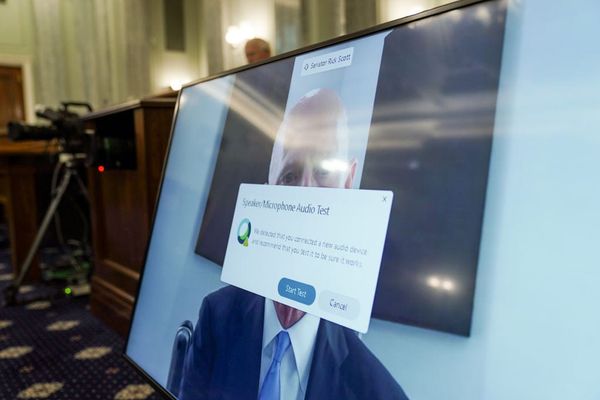 A Section 230 hearing goes awry