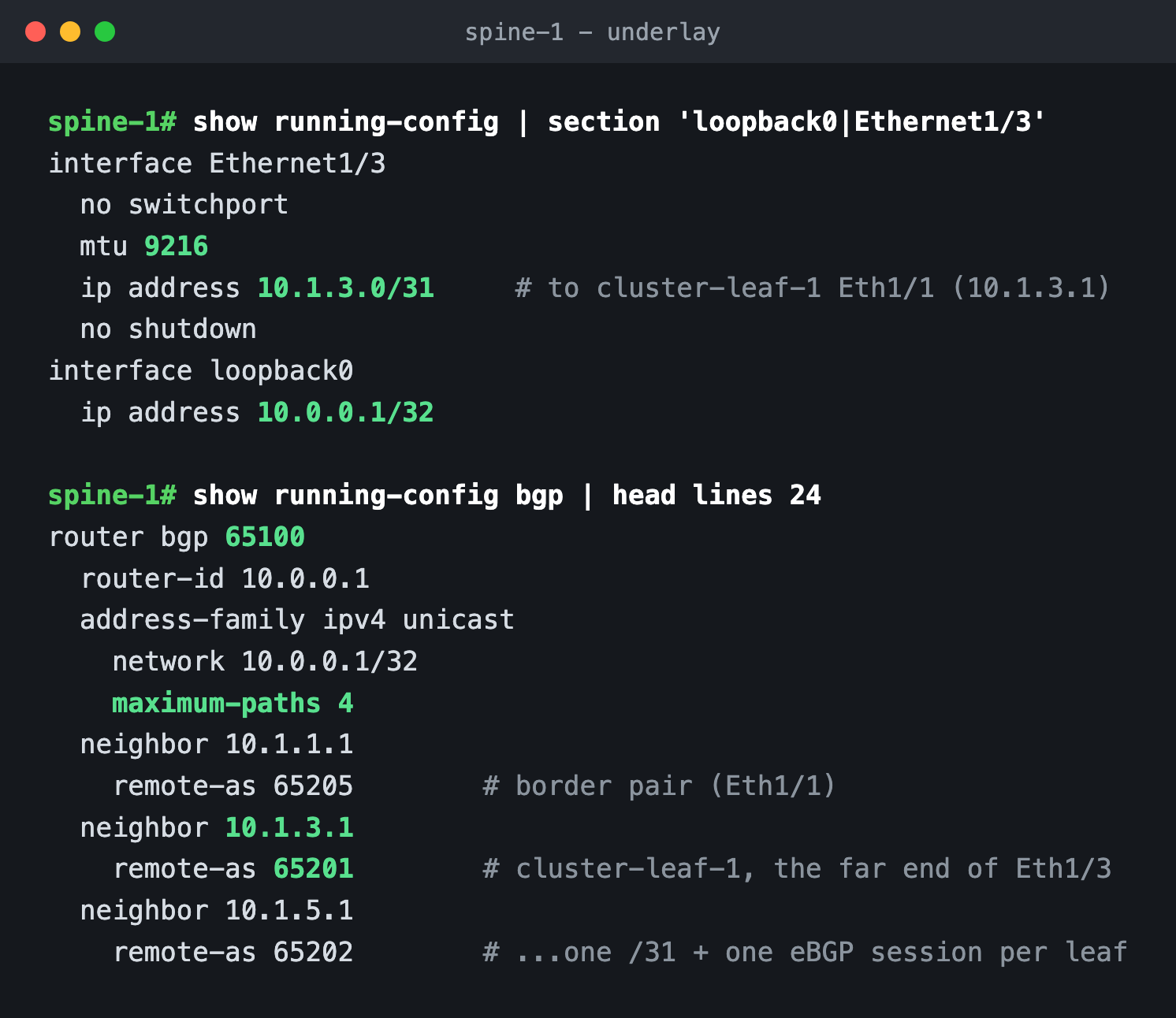 spine-1 running config: Ethernet1/3 routed /31 facing cluster-leaf-1, MTU 9216, loopback0, BGP AS 65100 with one eBGP neighbor per leaf