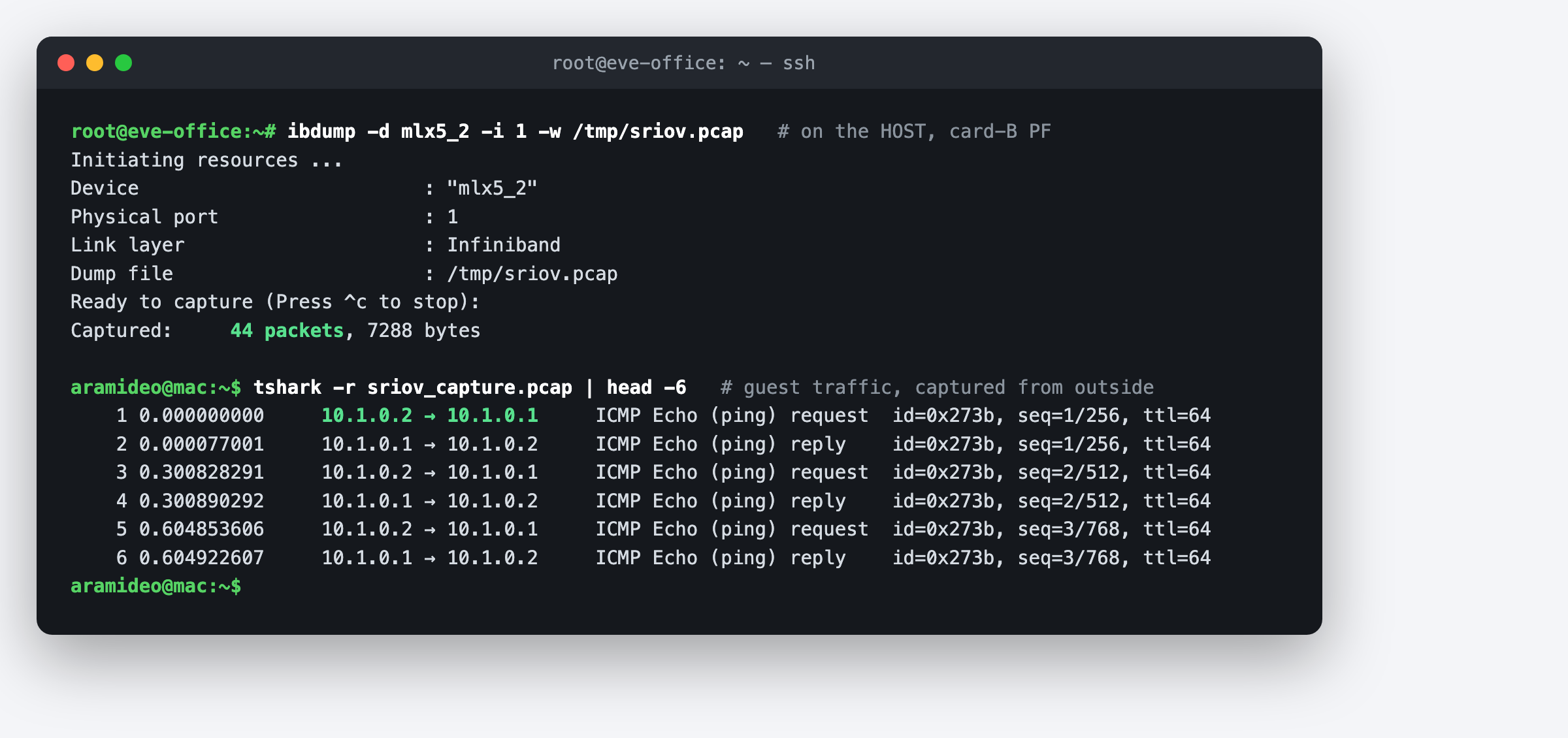 ibdump capturing 44 packets on the host and tshark dissecting guest-to-guest ICMP