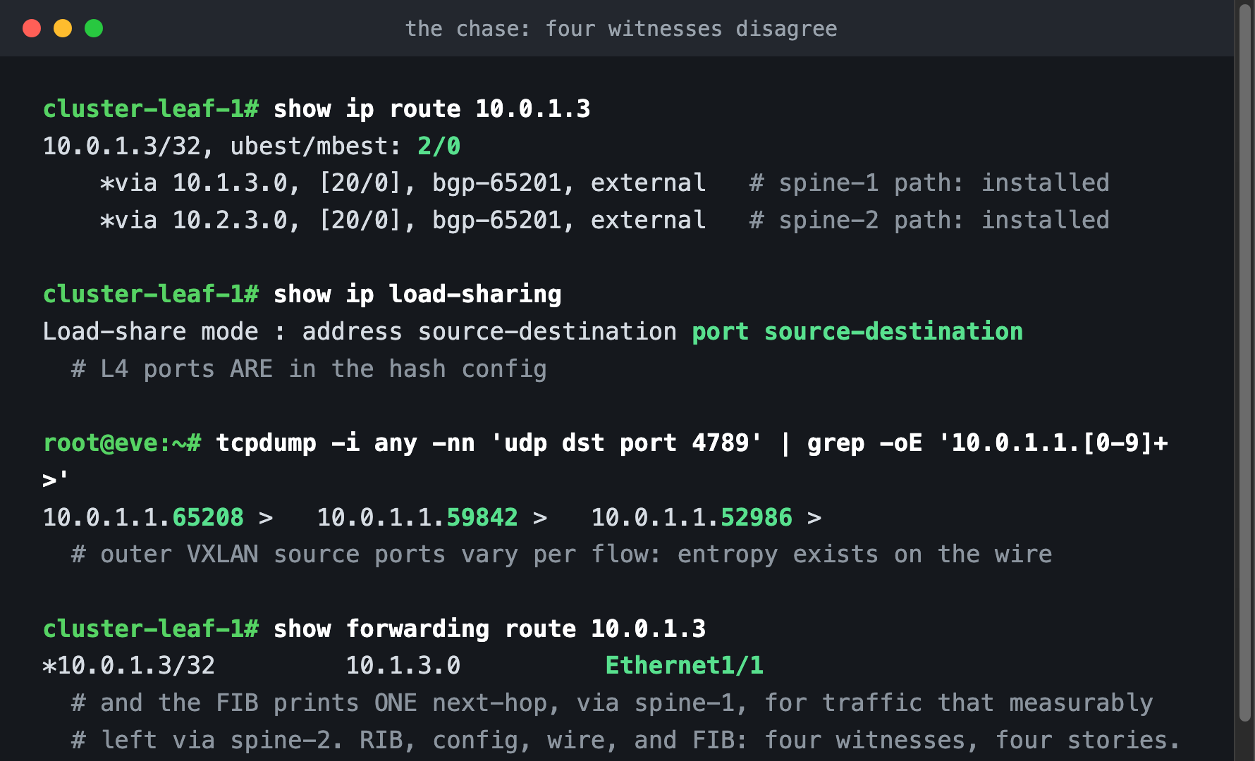 The routing table shows two installed paths, the load-sharing config includes L4 ports, the wire capture shows varying VXLAN source ports, and the FIB prints one next-hop via the interface traffic did not use
