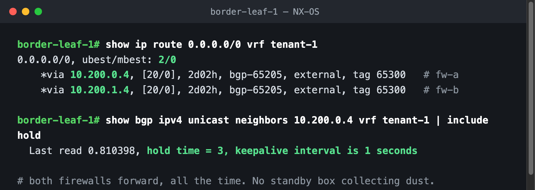 Border leaf showing ECMP default route via both firewalls and the tuned BGP timers