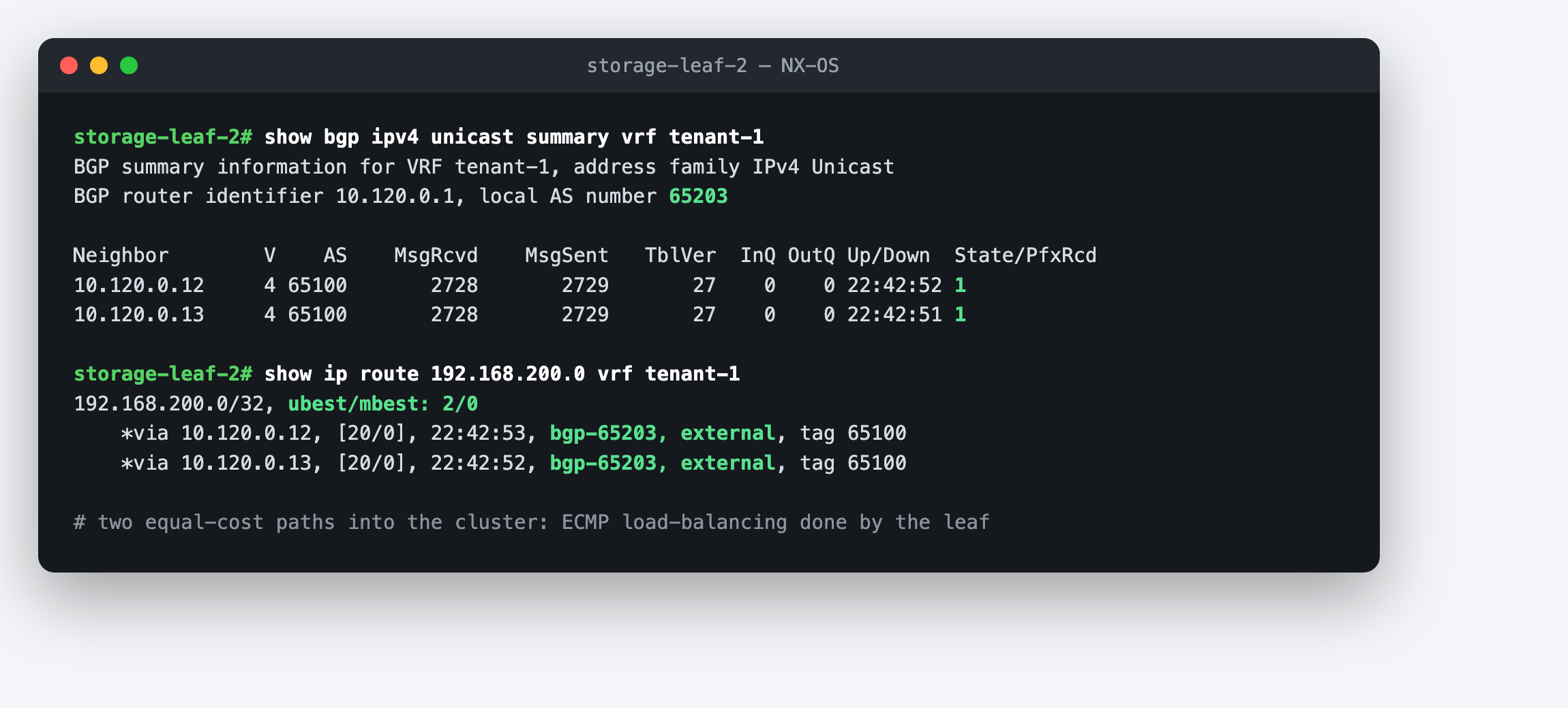 NX-OS BGP summary and routing table showing 192.168.200.0/32 with two ECMP paths