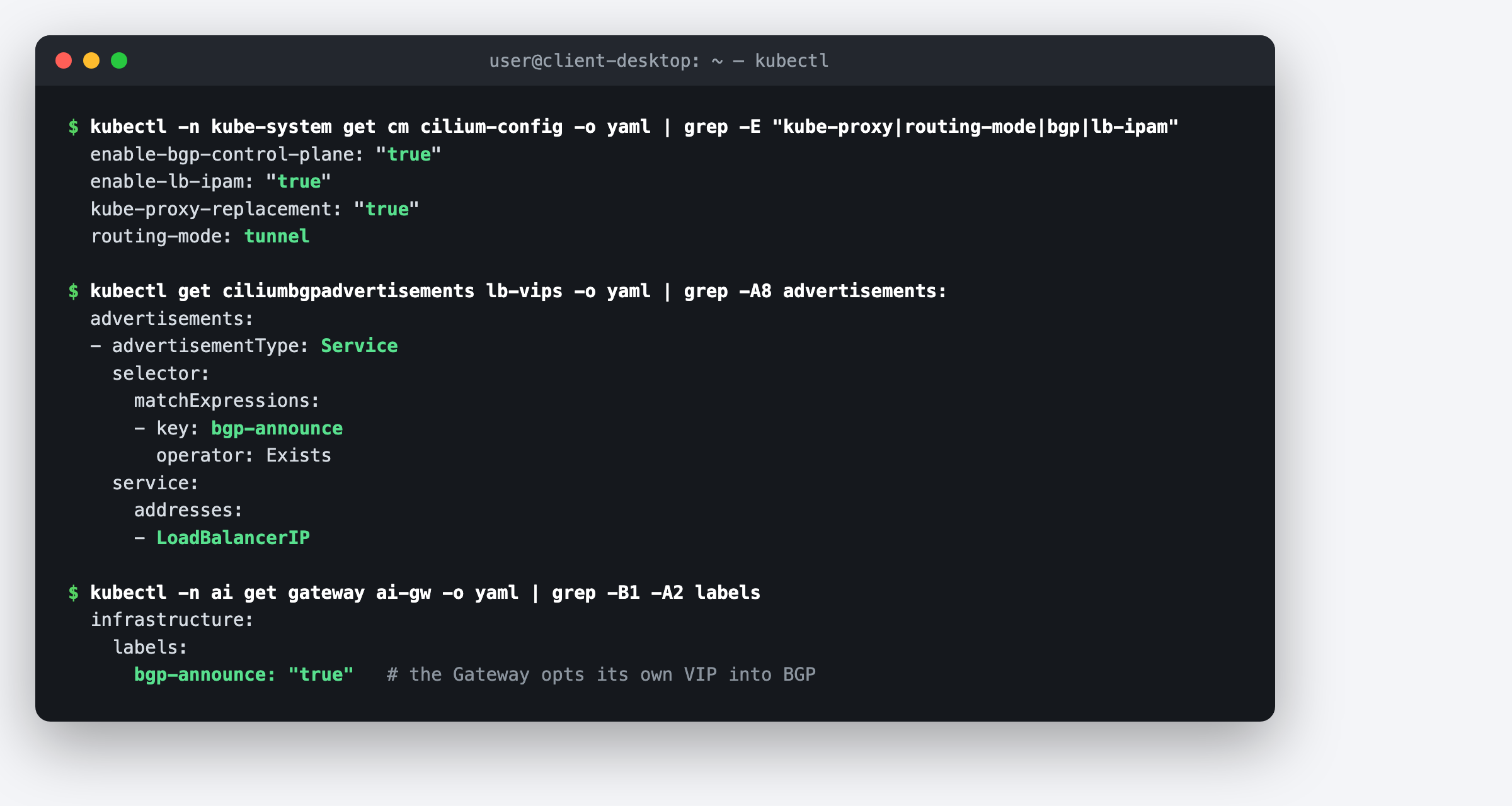 cilium-config showing kube-proxy replacement and tunnel routing, the advertisement label selector, and the Gateway carrying the bgp-announce label