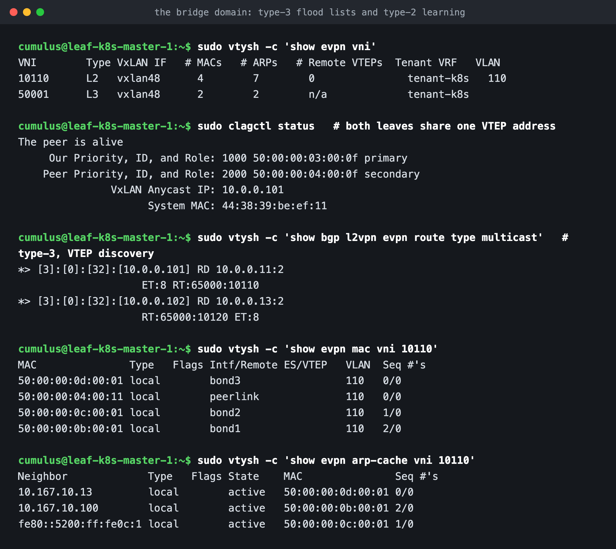 show evpn vni, clagctl status showing the anycast VTEP, type-3 IMET routes, the EVPN MAC table and the ARP cache