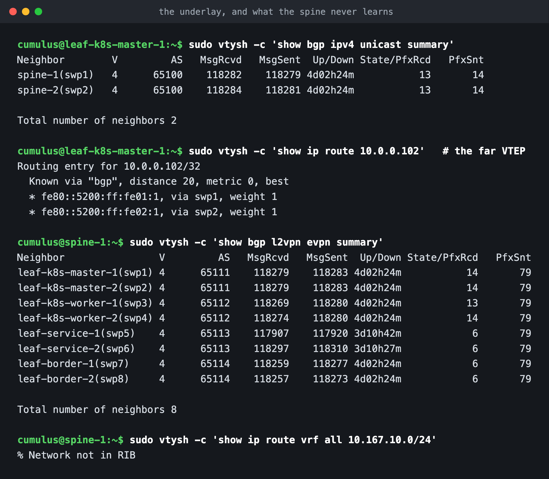 show bgp ipv4 unicast summary, the VTEP route via both spines, the spine EVPN peer table, and the spine having no tenant routes