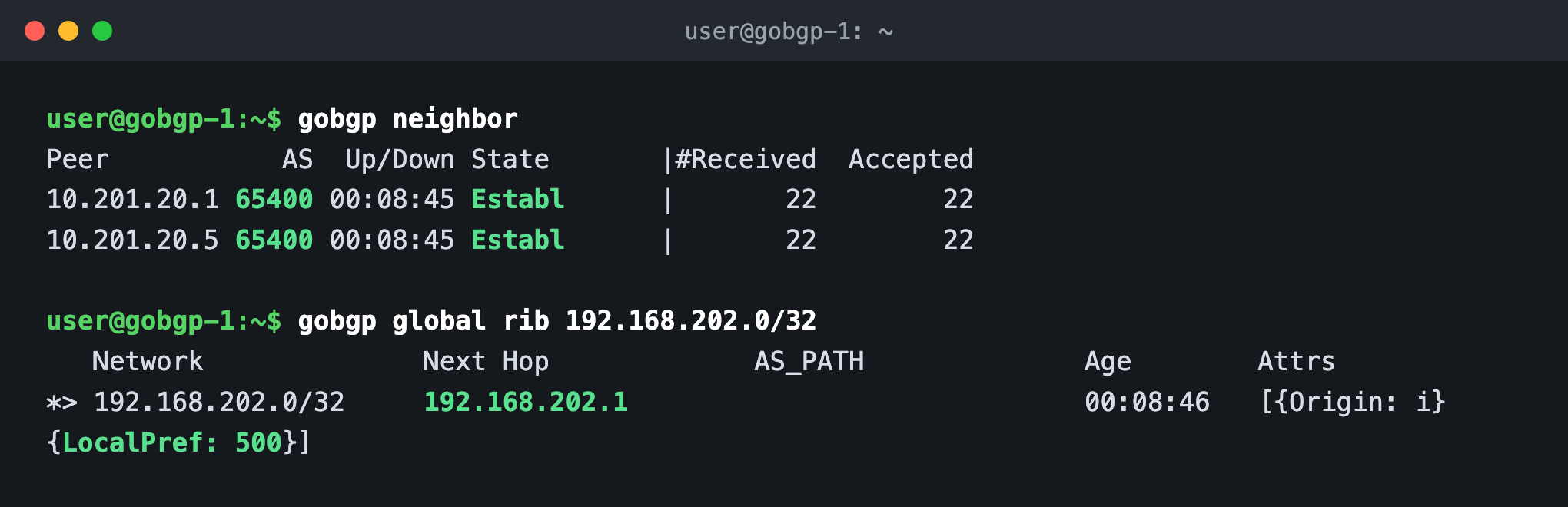 gobgp neighbor showing two established iBGP sessions, and gobgp global rib showing 192.168.202.0/32 with next-hop 192.168.202.1 and local-pref 500