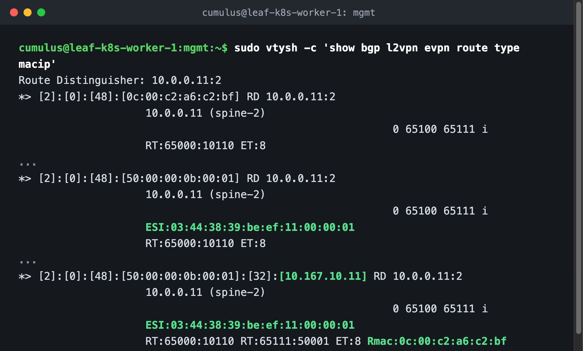 Three type-2 routes: MAC only, MAC with ESI, and MAC plus IP with dual route targets and the router MAC