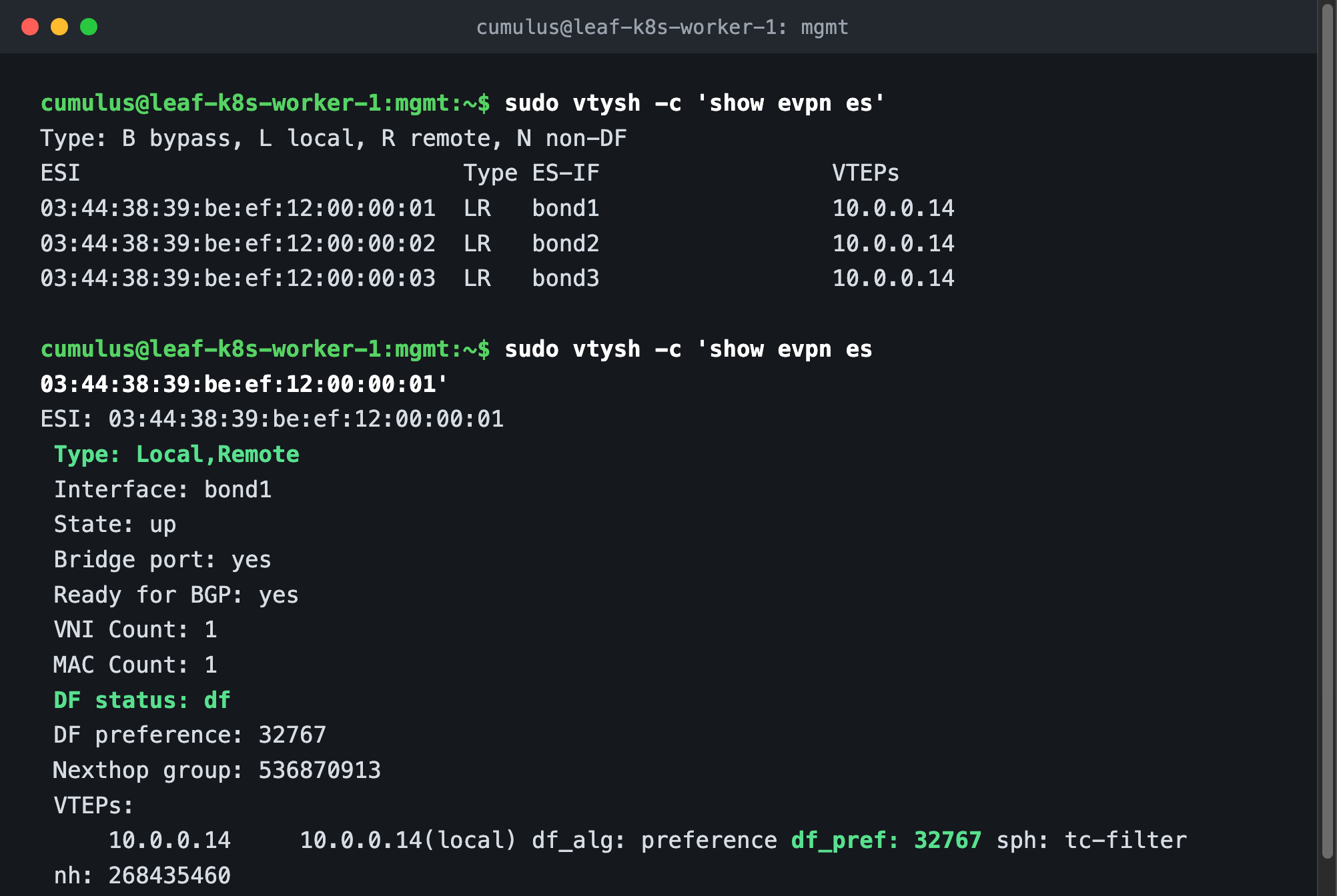 show evpn es output: three local-and-remote segments, and the detail view with DF status and preference