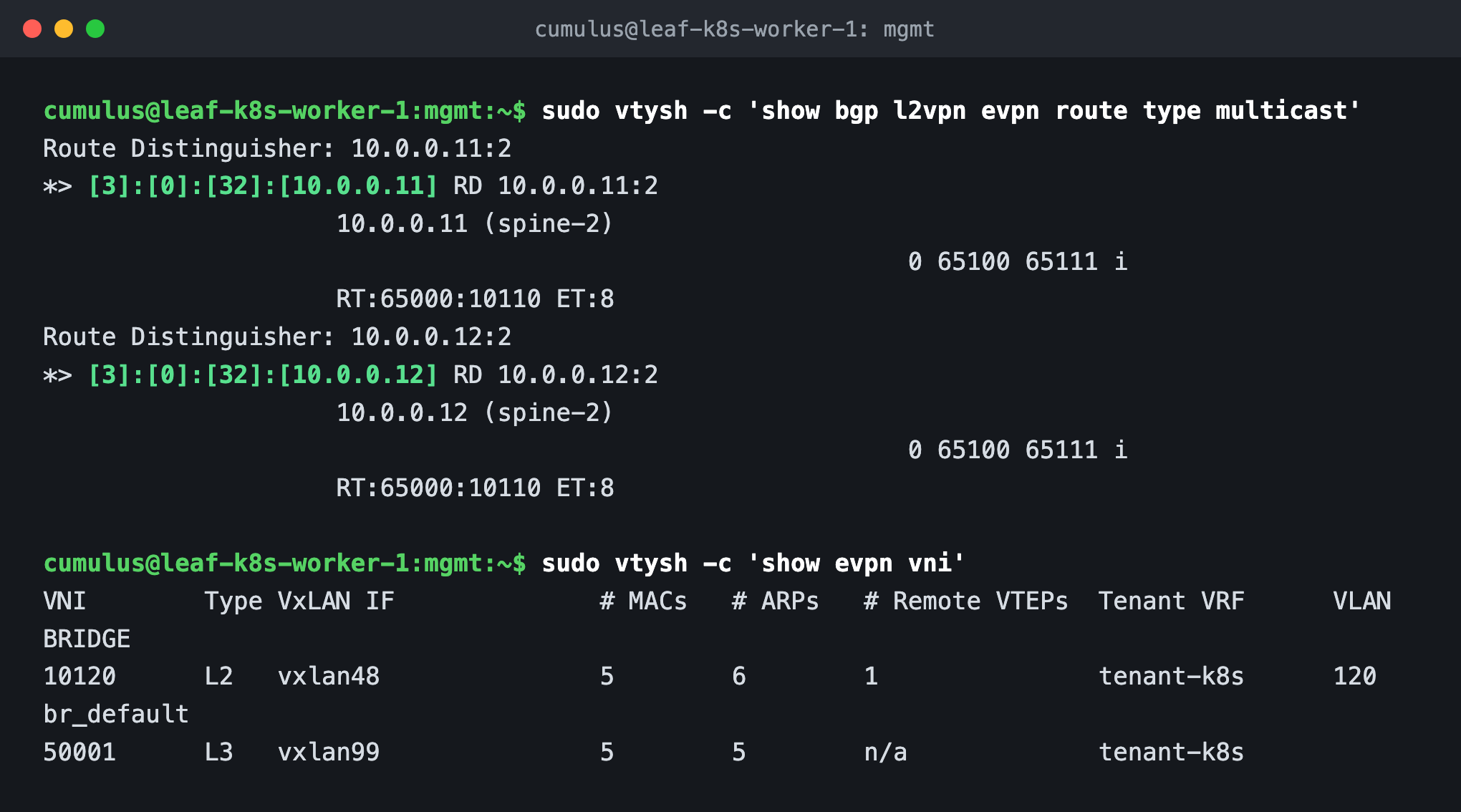 Type-3 IMET routes from VTEPs 10.0.0.11 and 10.0.0.12, and the VNI table showing L2VNI 10120 and L3VNI 50001
