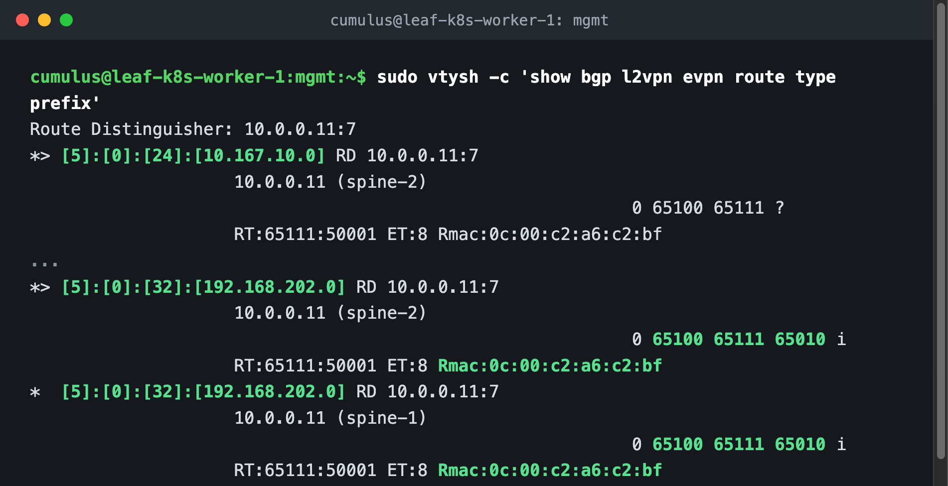 Type-5 routes: a subnet prefix and the anycast VIP 192.168.202.0/32 with AS path 65100 65111 65010 originating from Cilium
