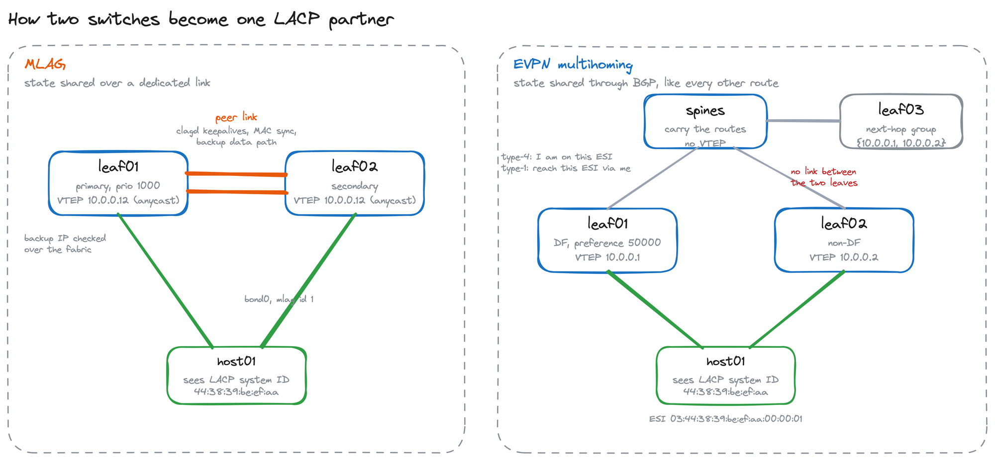 MLAG synchronises the pair over a dedicated peer link with a backup IP. EVPN multihoming synchronises through BGP route types with no link between the leaves.