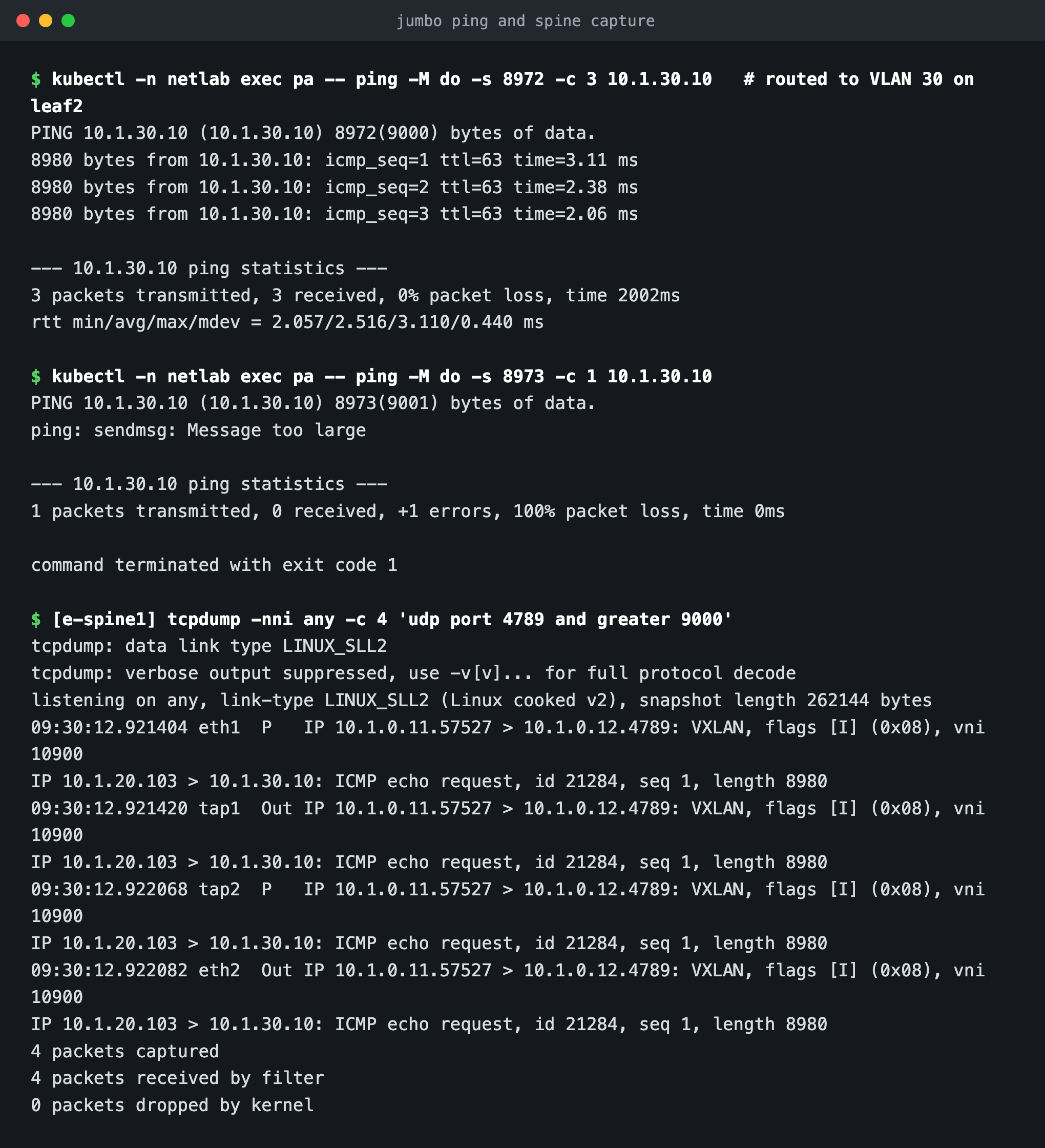 Terminal: ping -M do -s 8972 to 10.1.30.10 with zero loss, ping -s 8973 failing with message too large, and tcpdump on the spine showing VXLAN vni 10900 carrying ICMP length 8980.