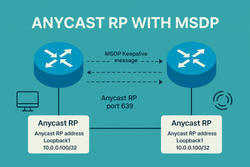 Dynamic & Resilient RPs with Auto-RP and MSDP