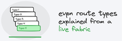 evpn route types explained from a live fabric