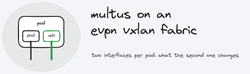 Multus on an EVPN VXLAN fabric