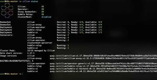 Building a Production-Ready Kubernetes Cluster on Ubuntu 24.04 LTS (with Cilium CNI)